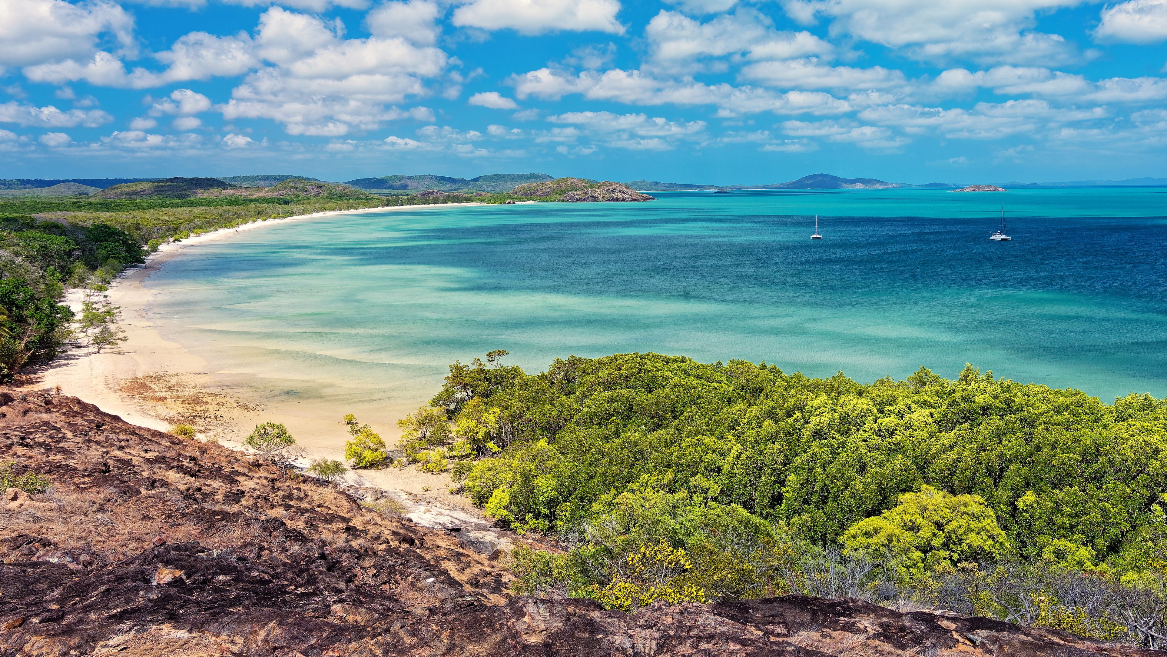 Best Day Trips from Brisbane: Beaches, Rainforest and Wine Country